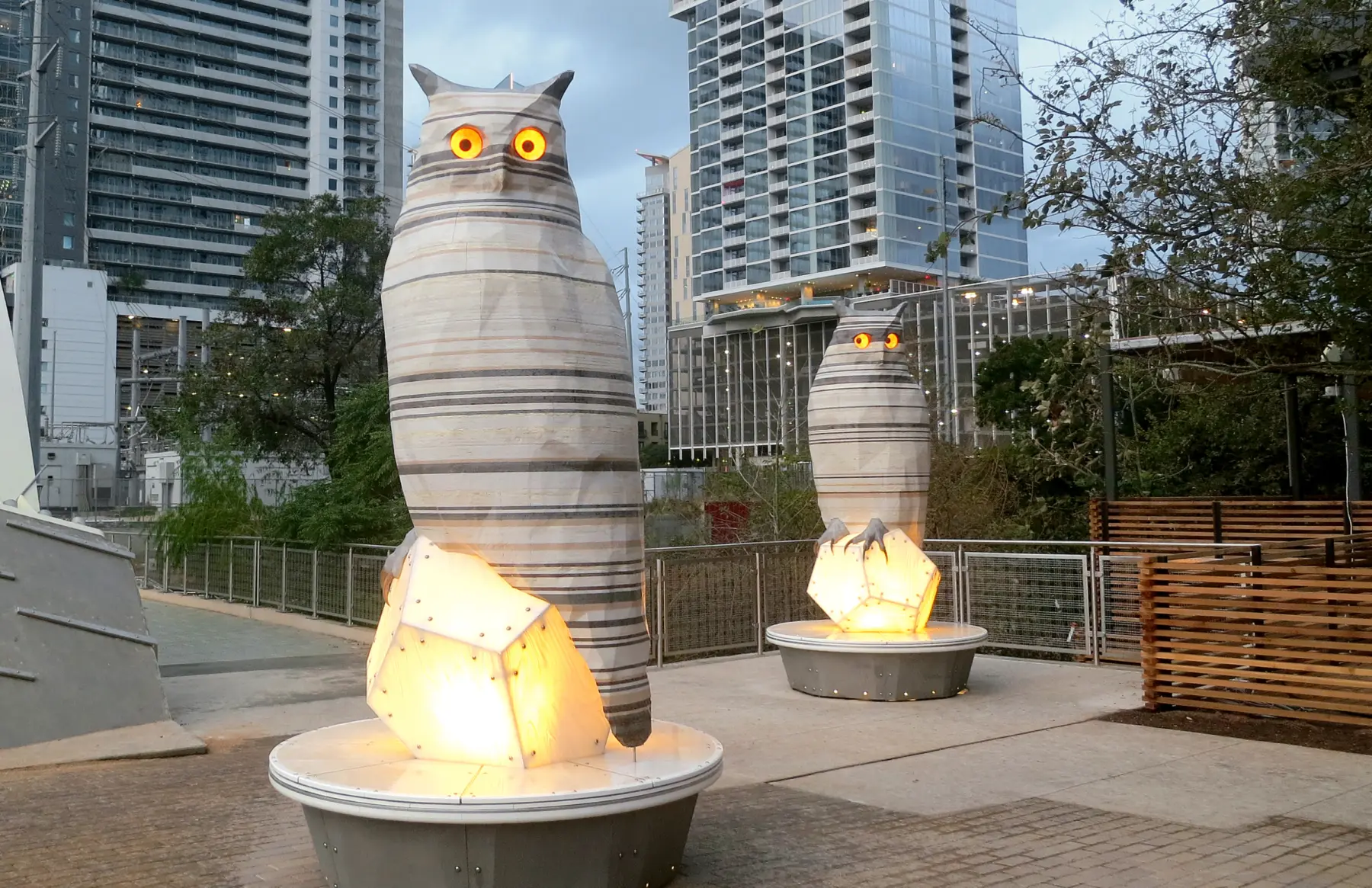 NAPA Kempelens Owls 07