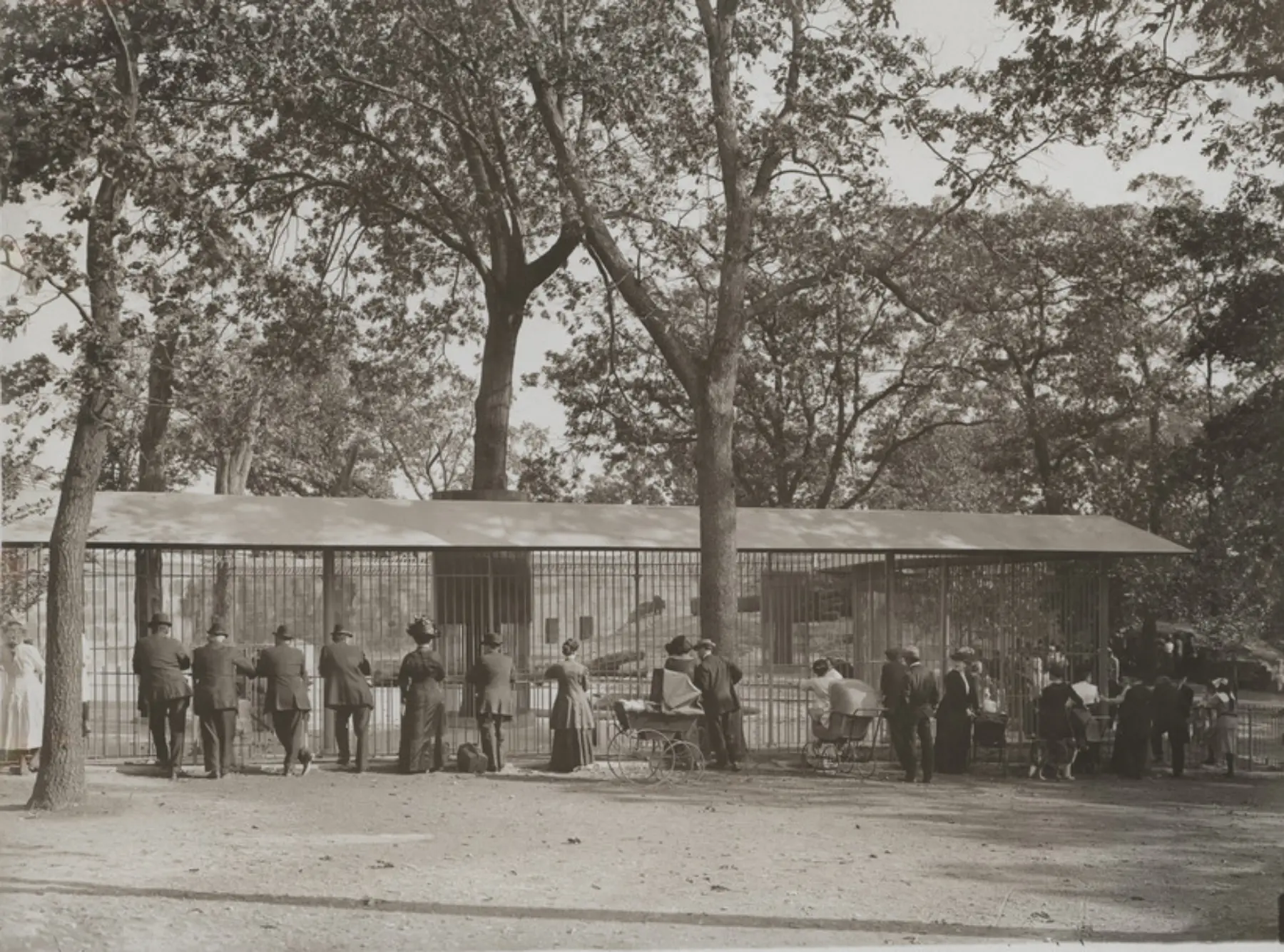 Parks Historic 1900s Bear Dens Audience