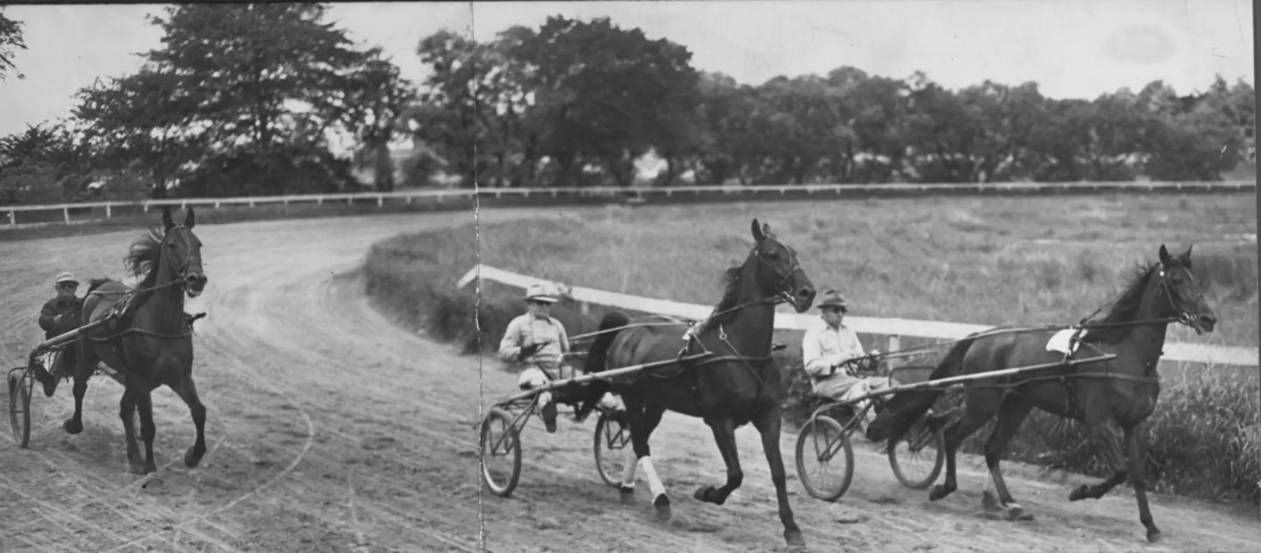 Speedway Fig 1 Trotters