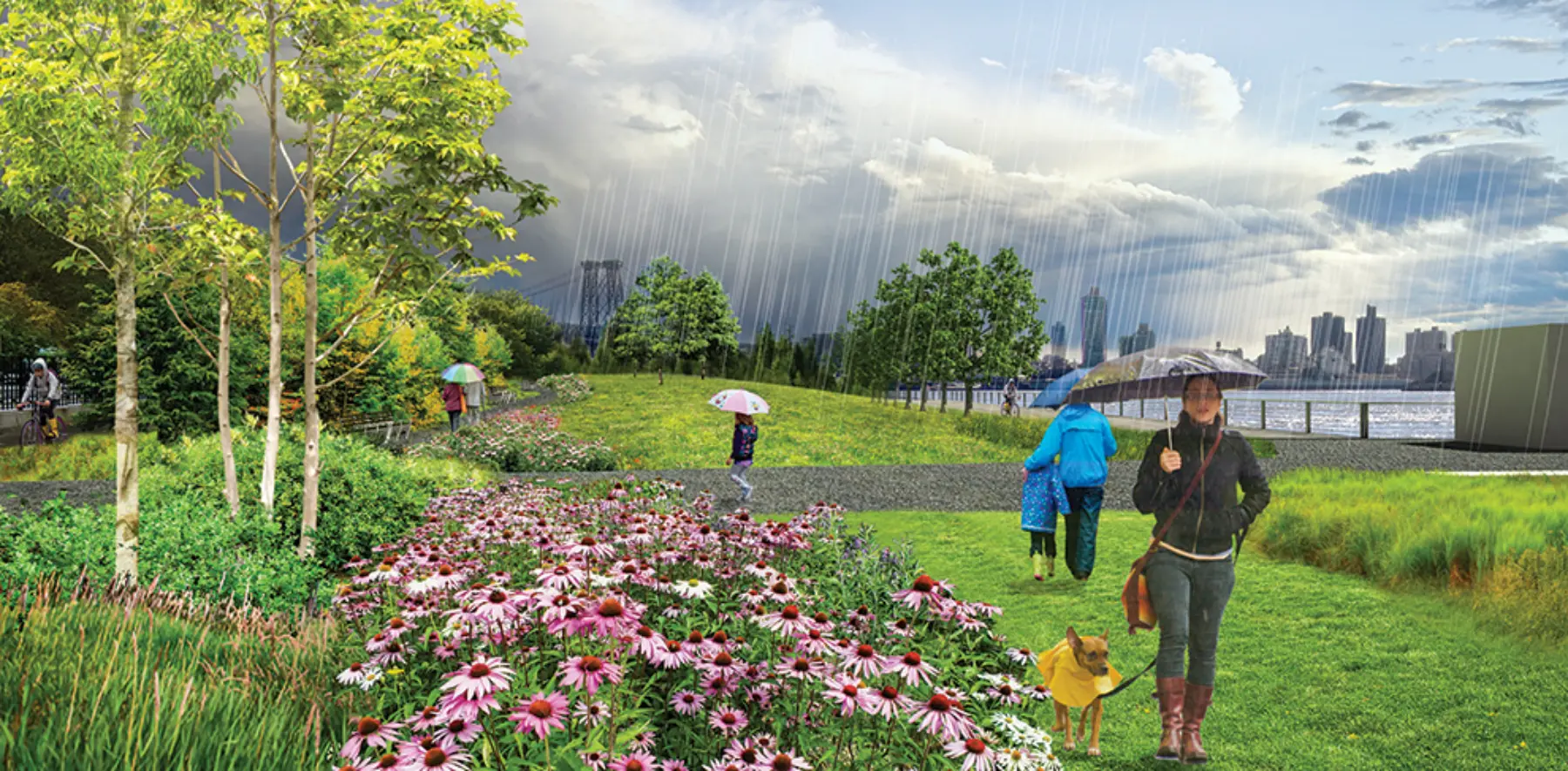 New hill rendering updated