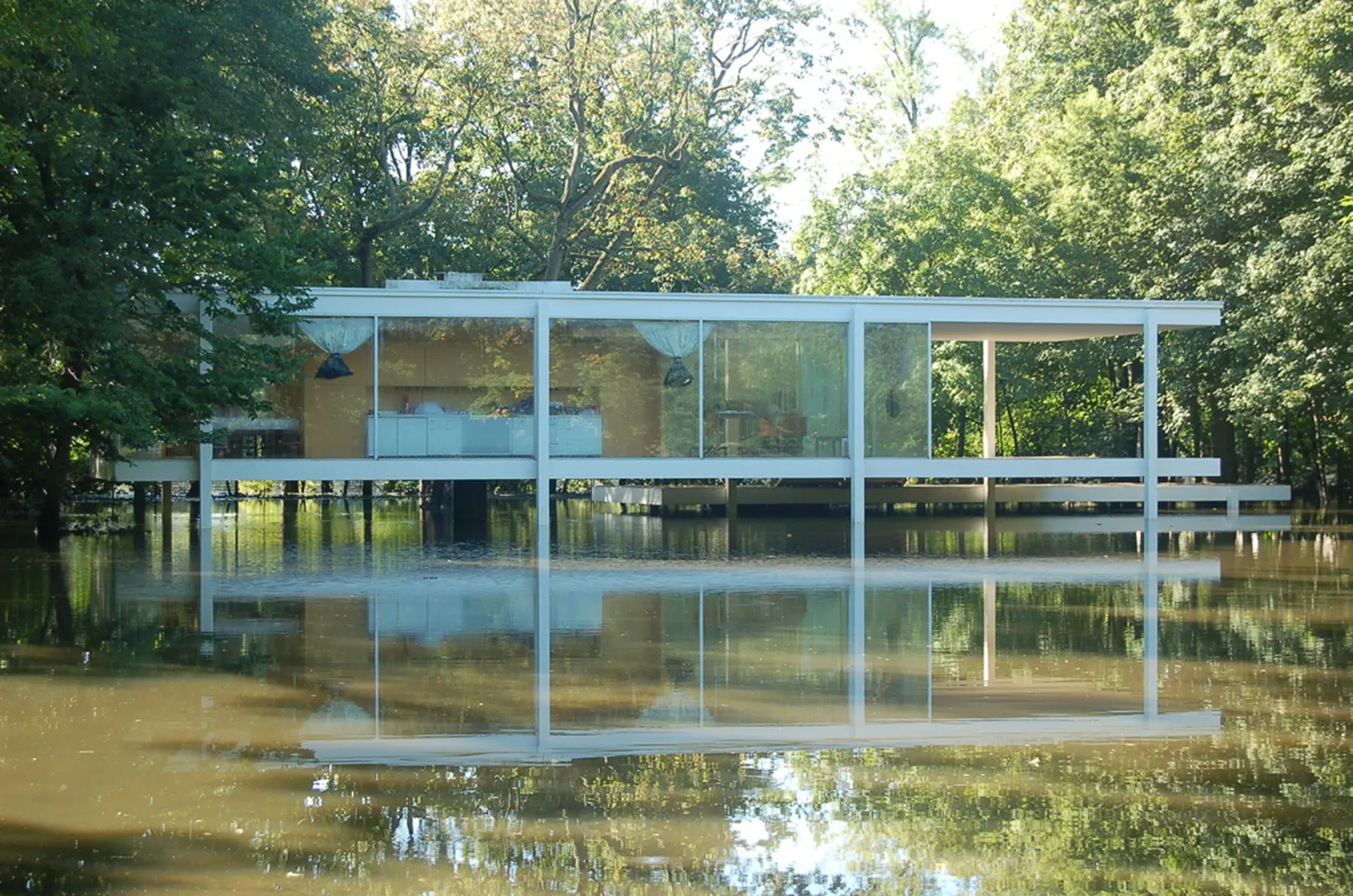 Flood Farnsworth Flood mr1