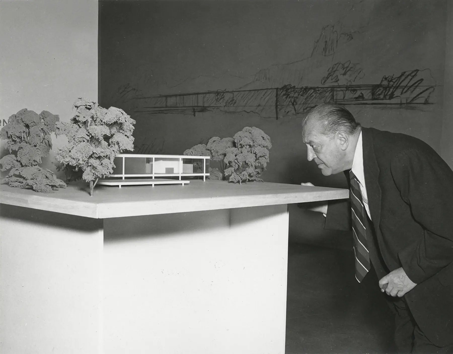 Flood Mies at MOMA show Ryerson clear