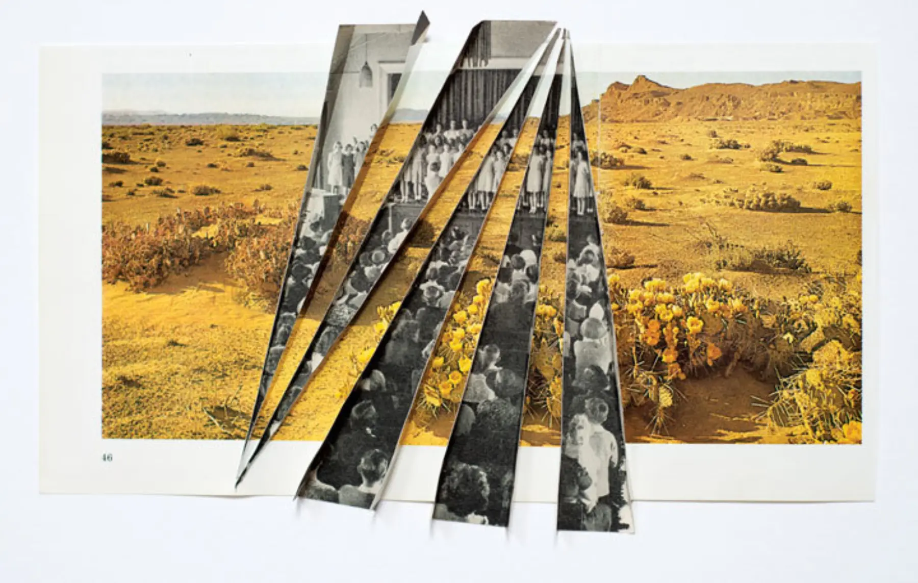 AR 01 Desert Seeds 2015 720