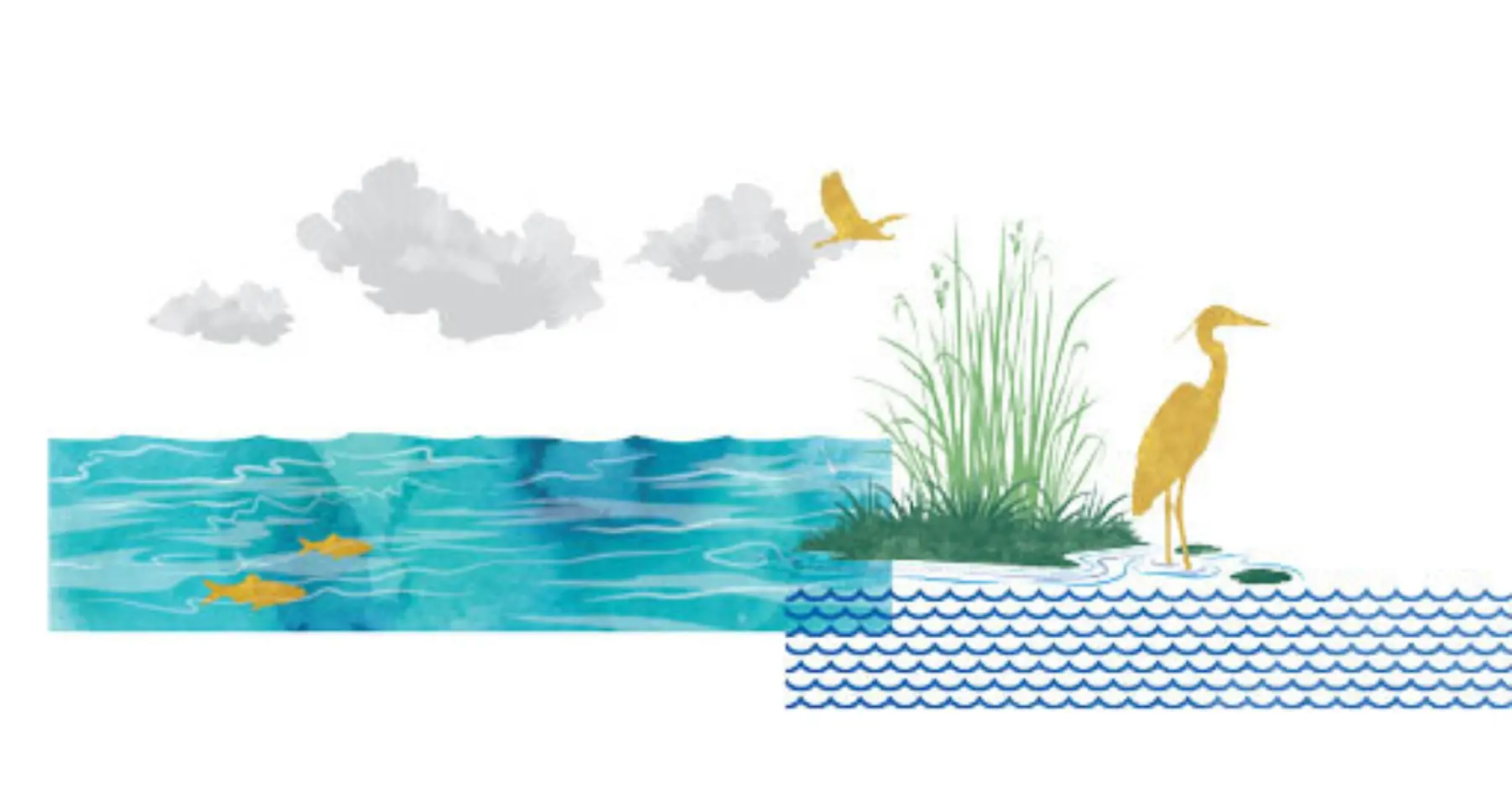 At Issue When river runs through web