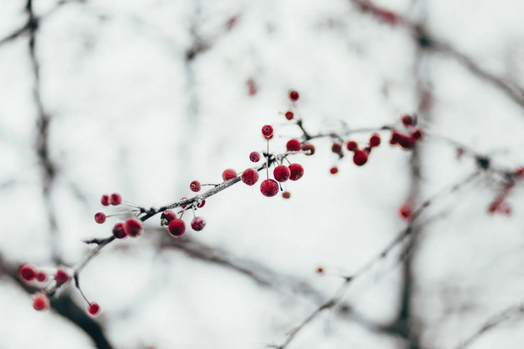Freestocks e6 K Oc ZGA9 Zk unsplash