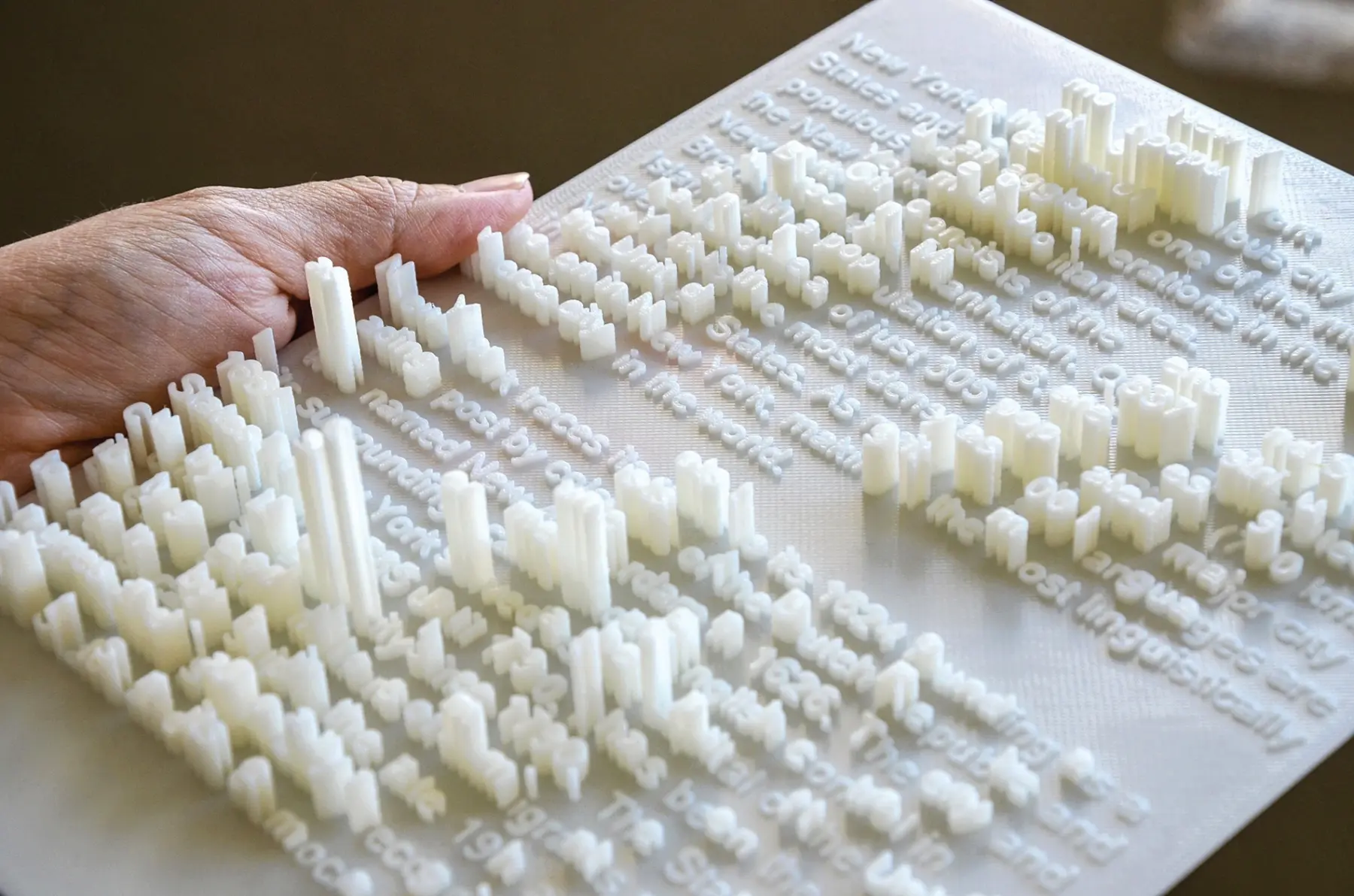4 Textscape New York City Central park portion