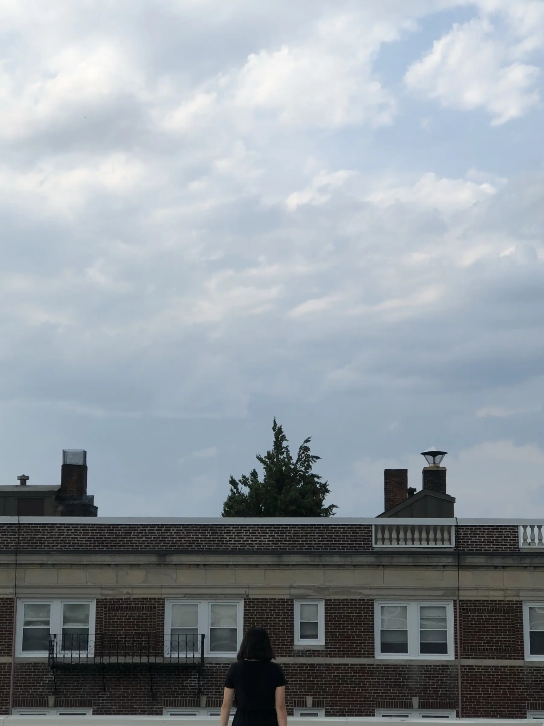 Rooftop Photo View Of Building