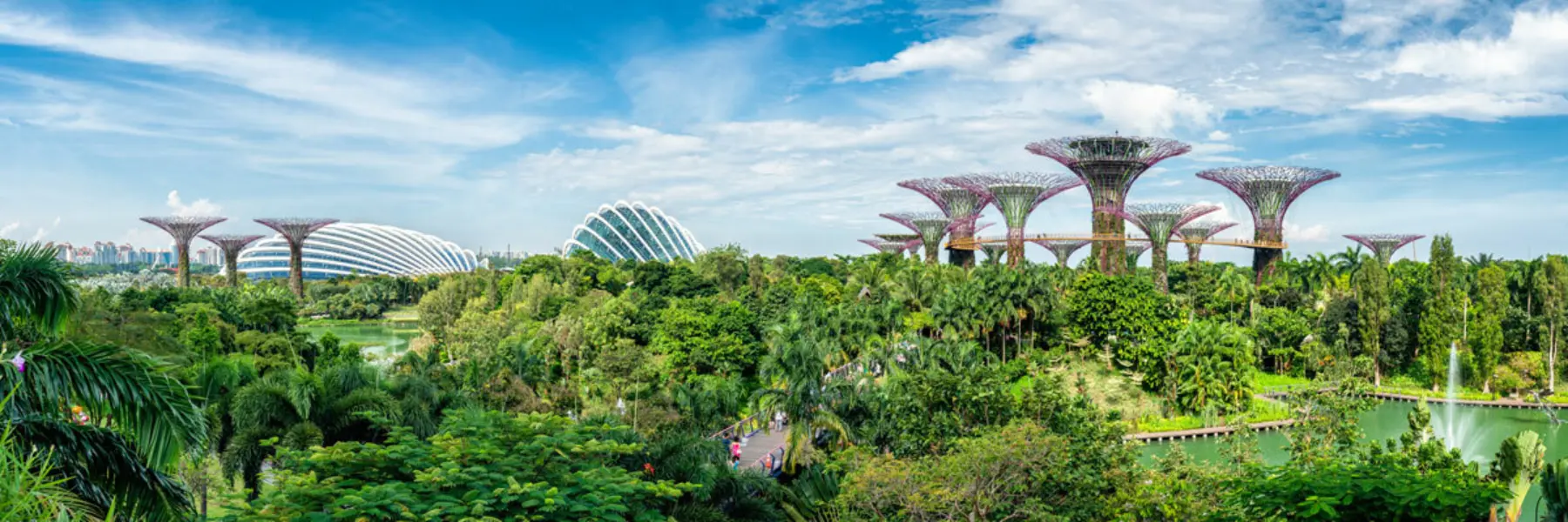 Adobestock 324084079 sustainable city web