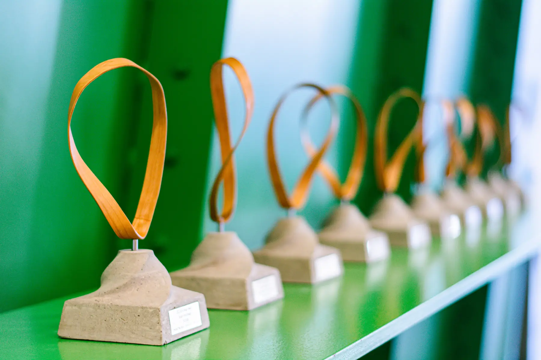 Resized BSA awards detail Paige Mc Whorter 1