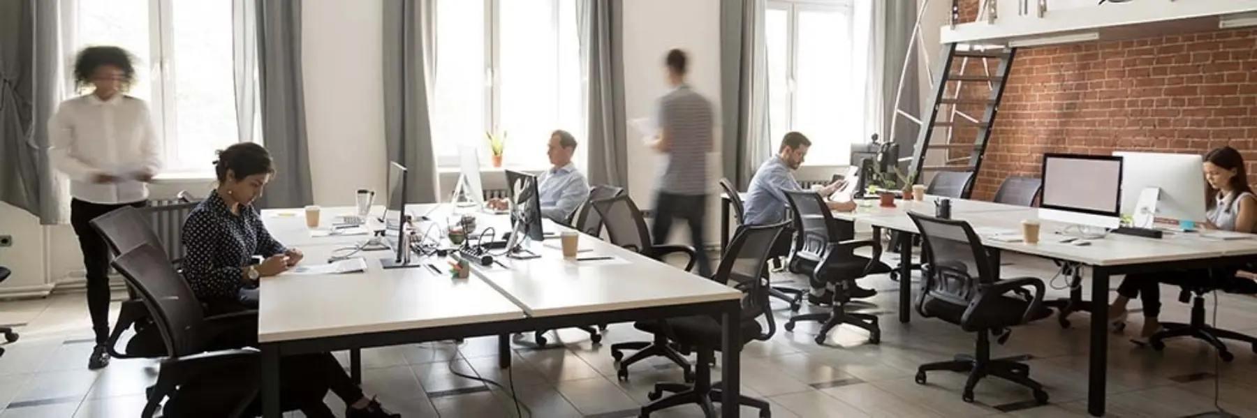 Modern office web