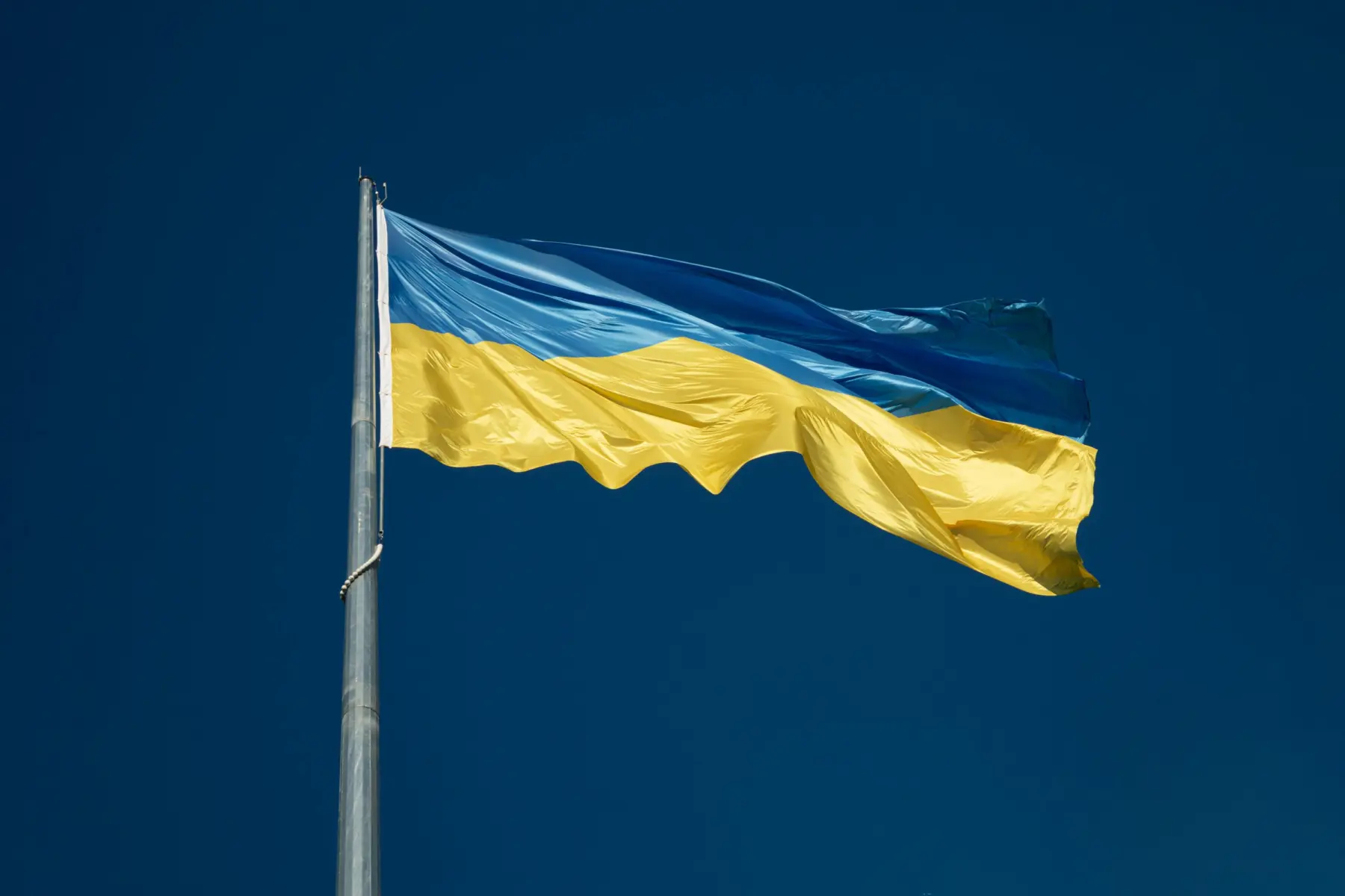 Yehor milohrodskyi syuhh Pwu hk unsplash