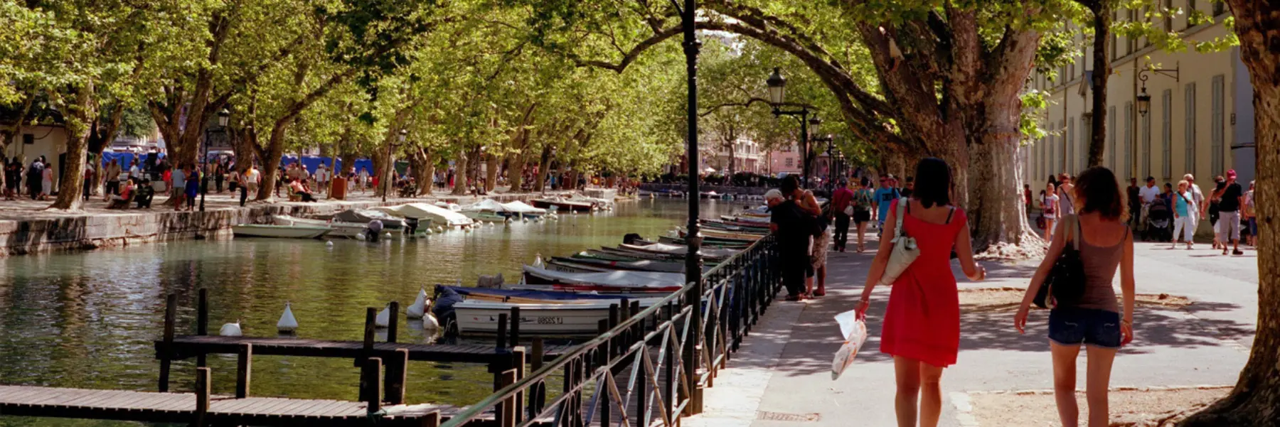 Walkable city harvard graduate school design executive education