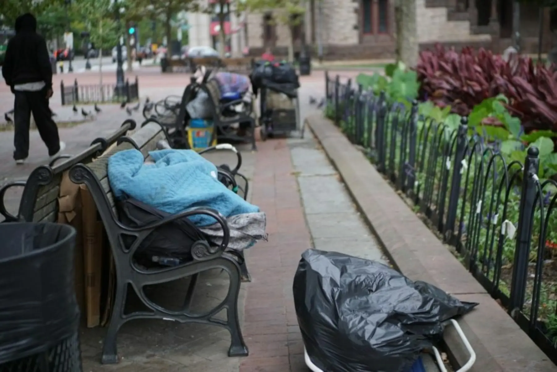 Homelesss Nov 15