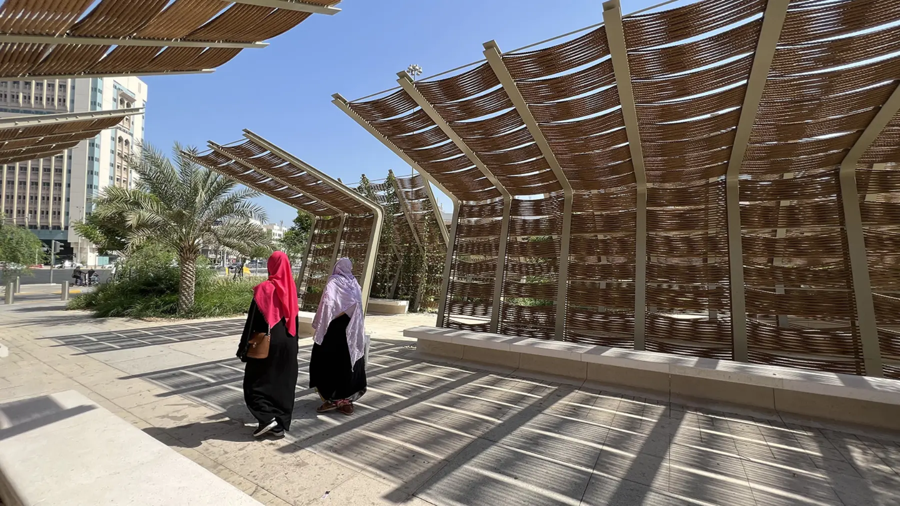 Sae Kim Climate Initiative