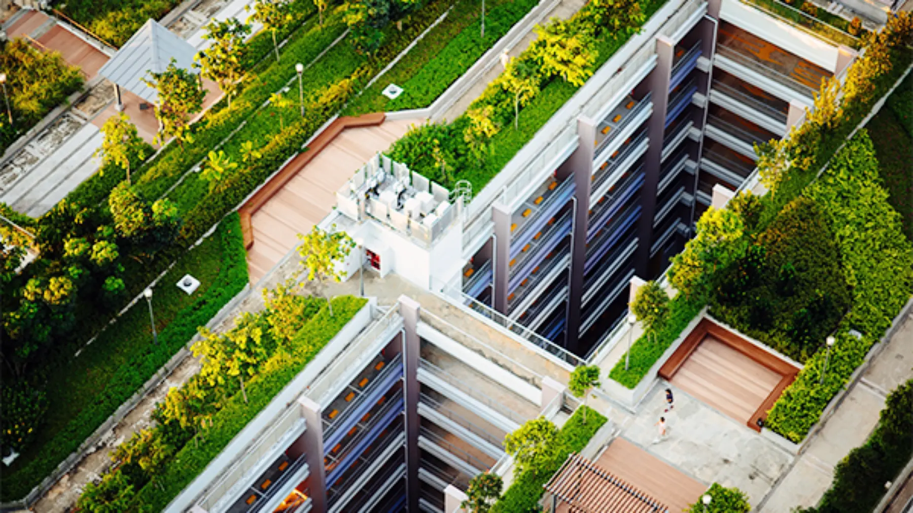 Green Roof C 3 23 23