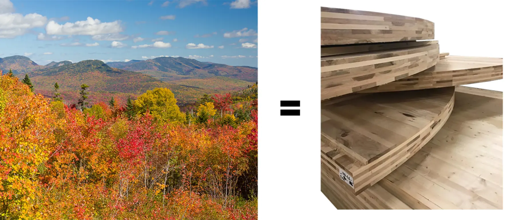 Wood New England hardwood clt