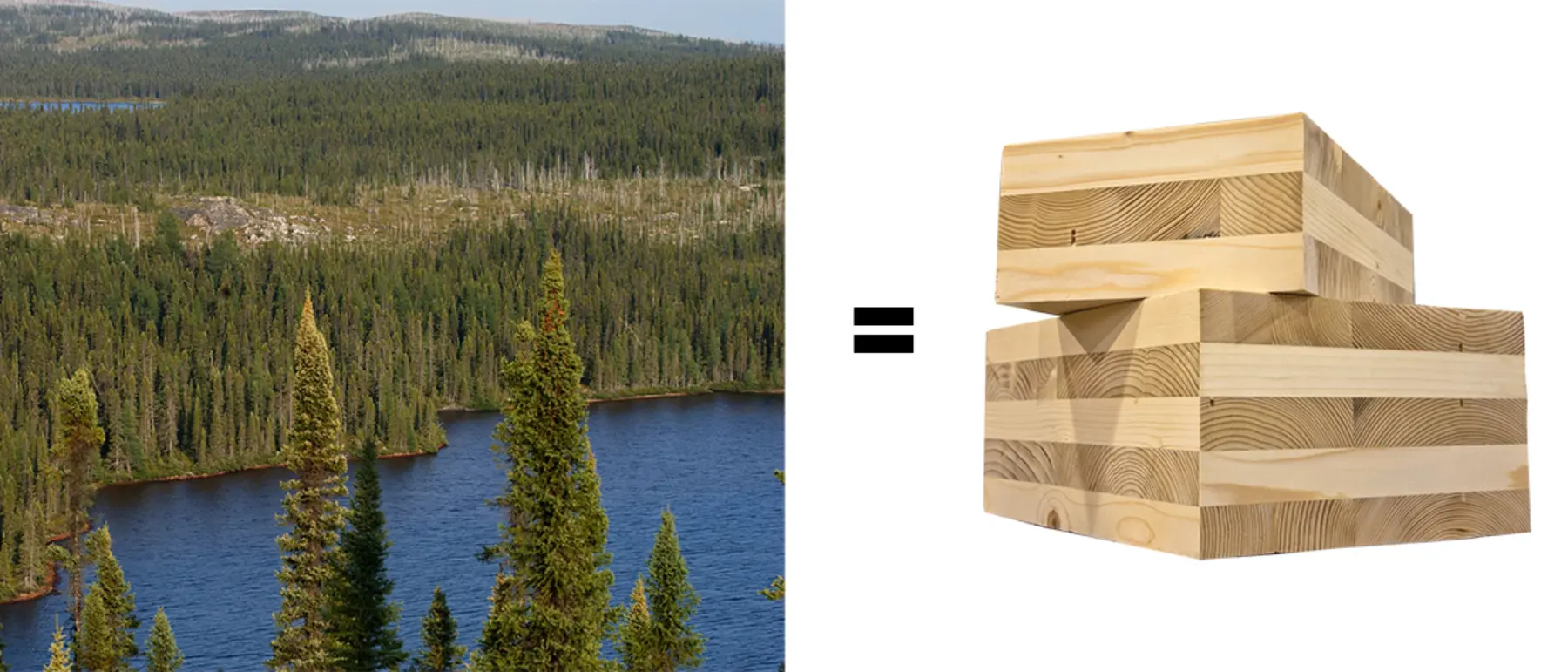 Wood Quebec CLT