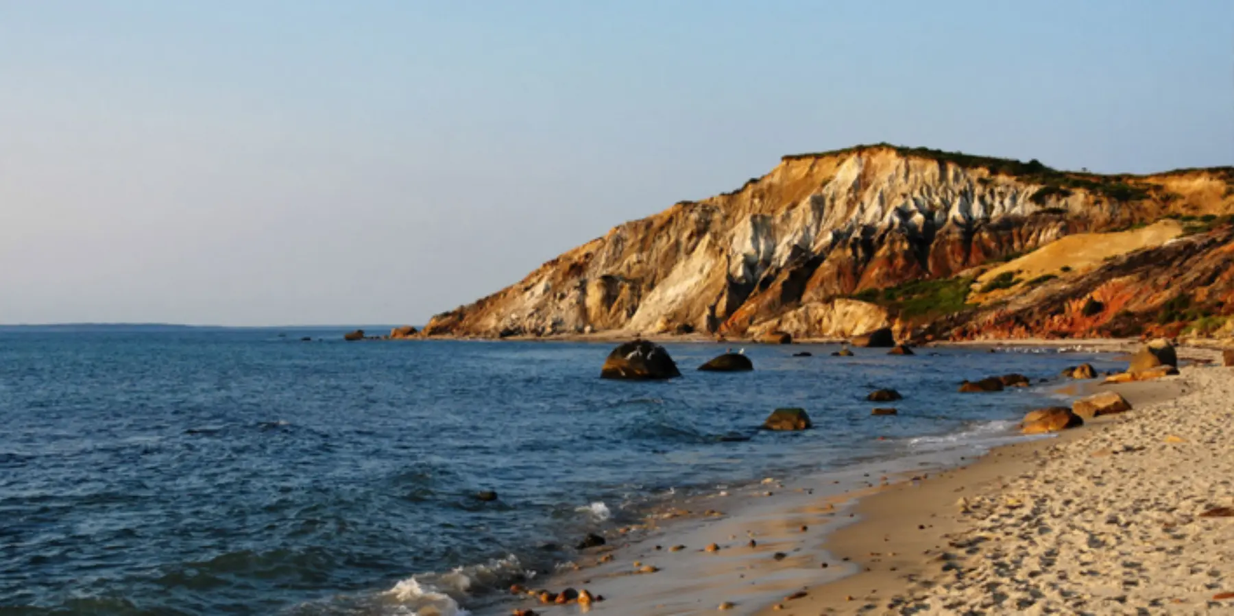 Cott header