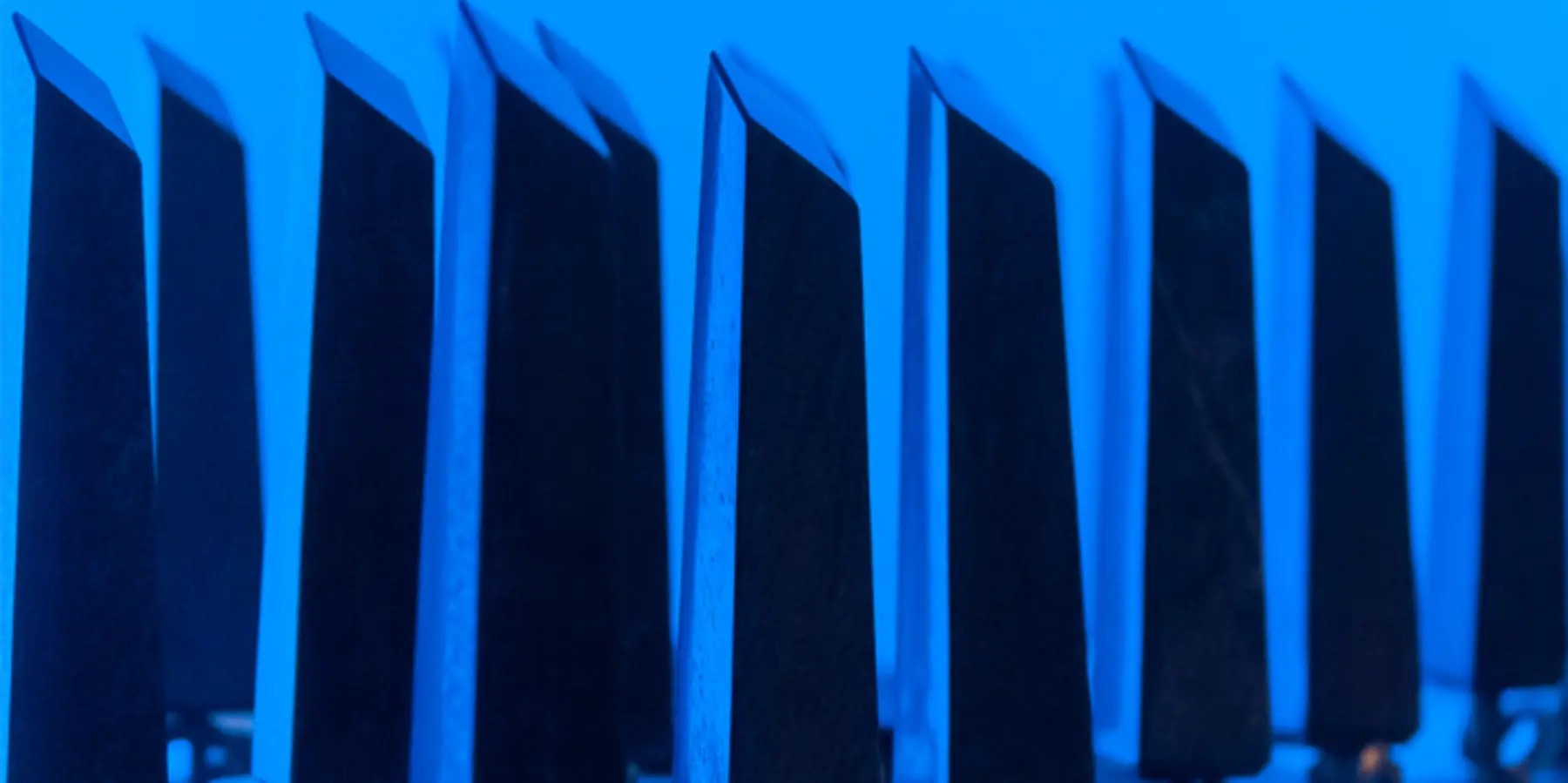 Densmore Bey header2
