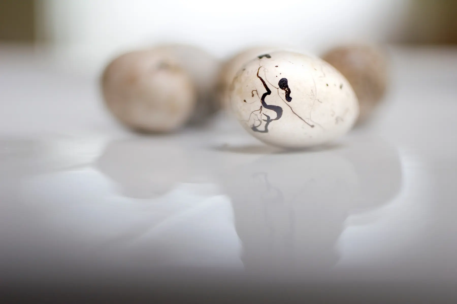 Vanished Olivia Parker Eggs
