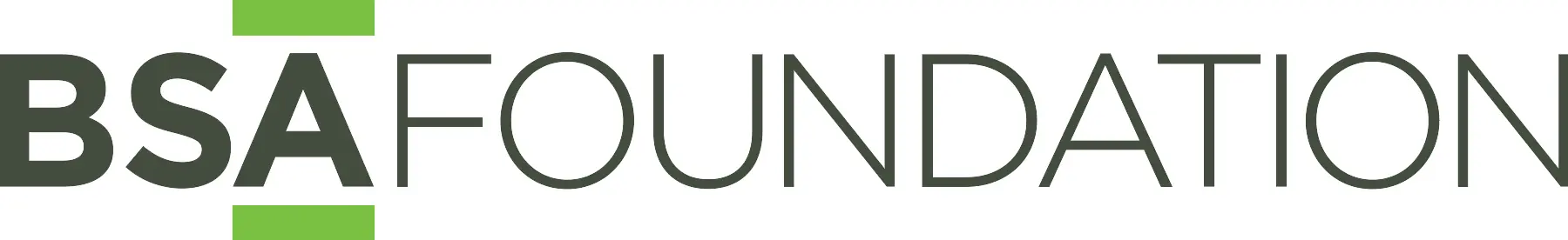 BSAFoundation1