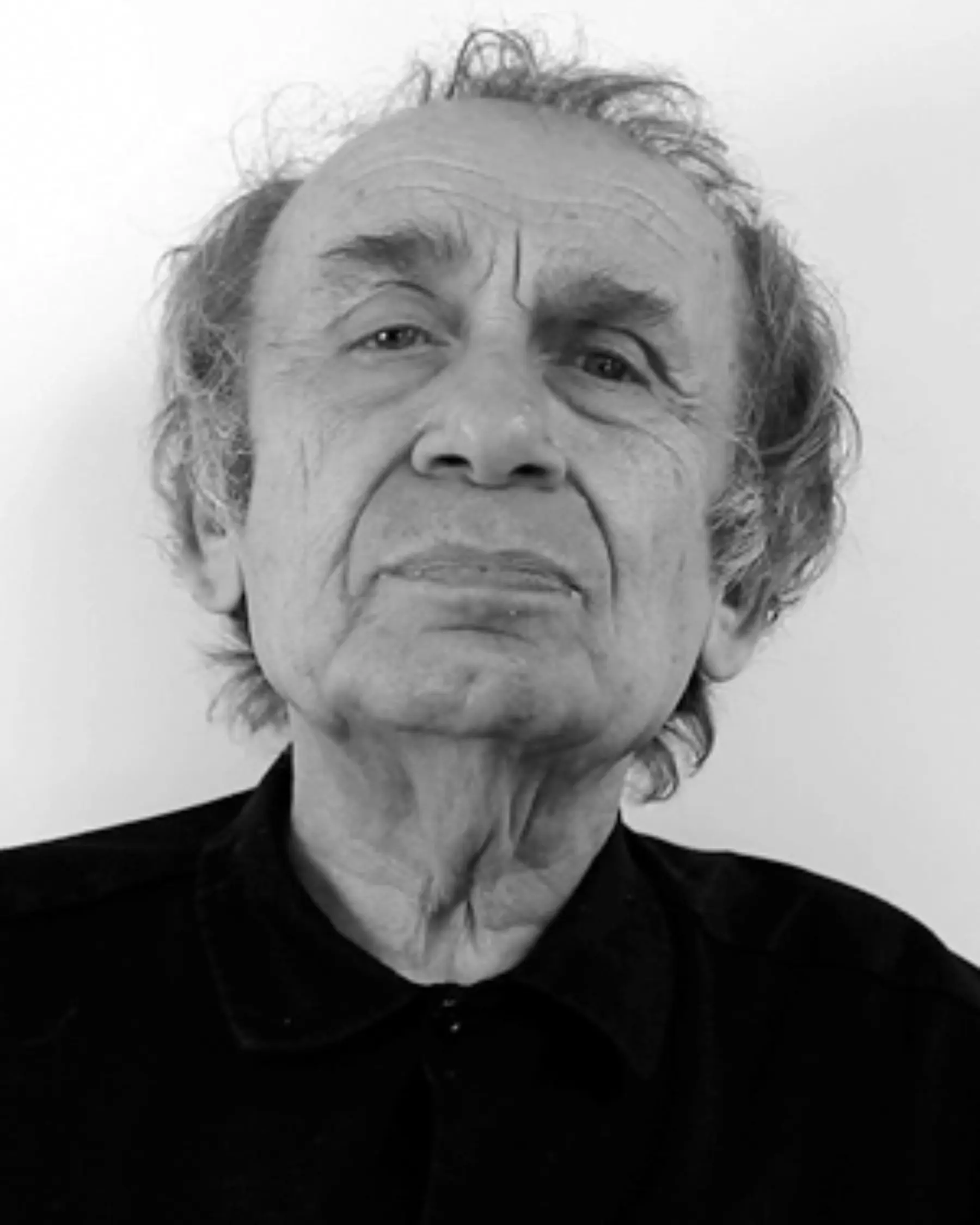 Vito Hannibal Acconci remembering