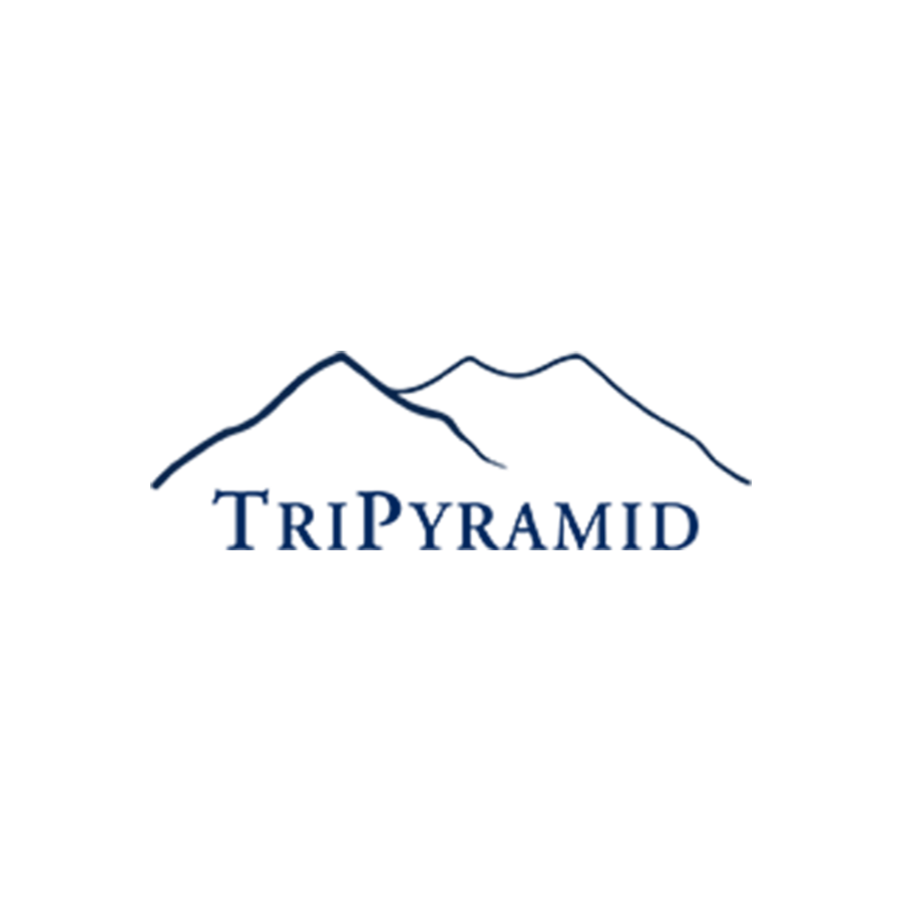 Tri Pyramid Logo Color BSA 600x900px
