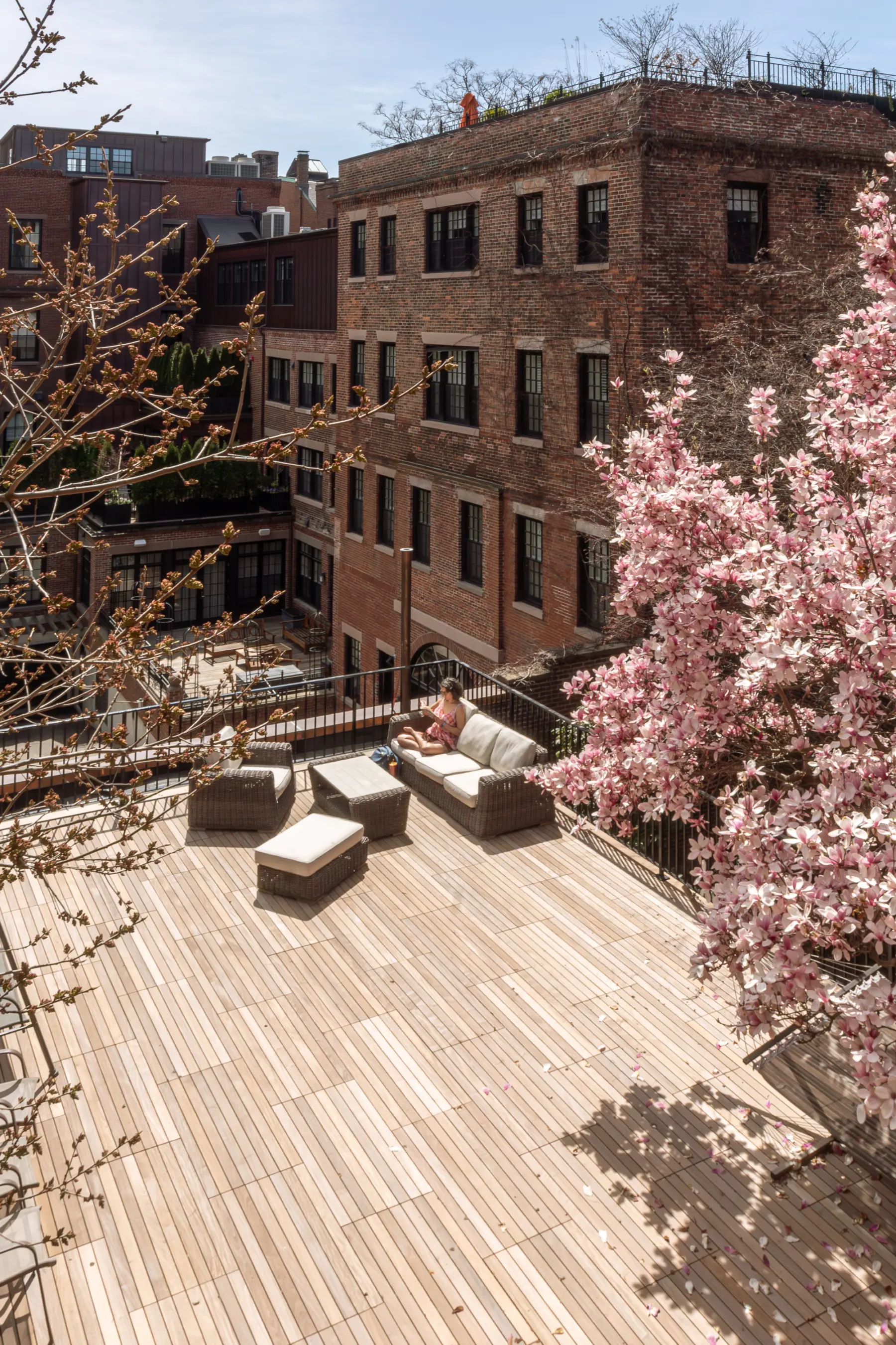 Profile massouh Beacon Hill Friends House Renovated Roof Deck Rand Lemley Photo Credit