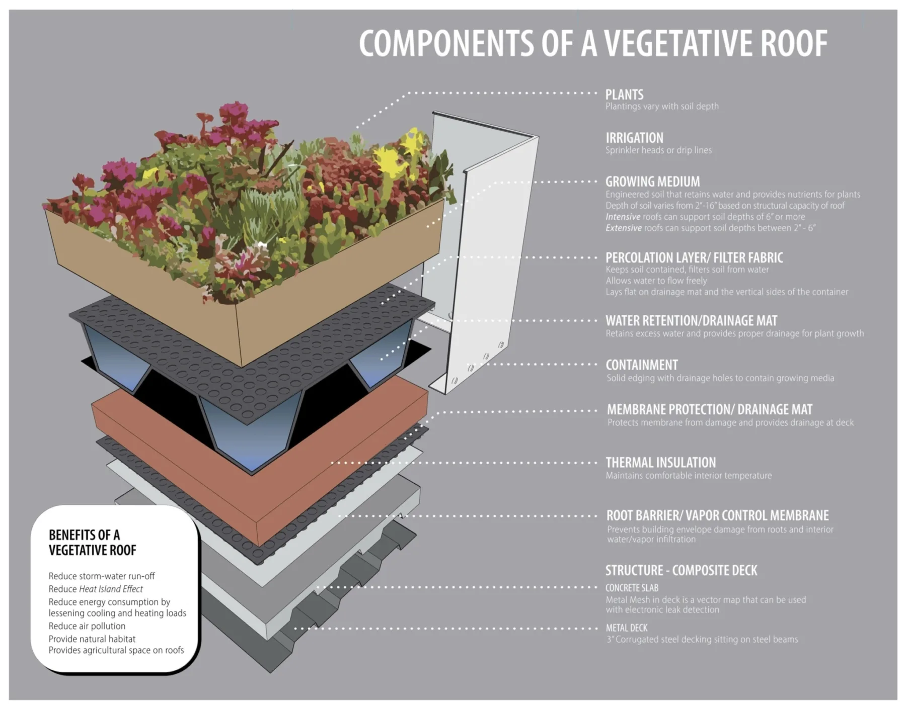 Green roof graphic