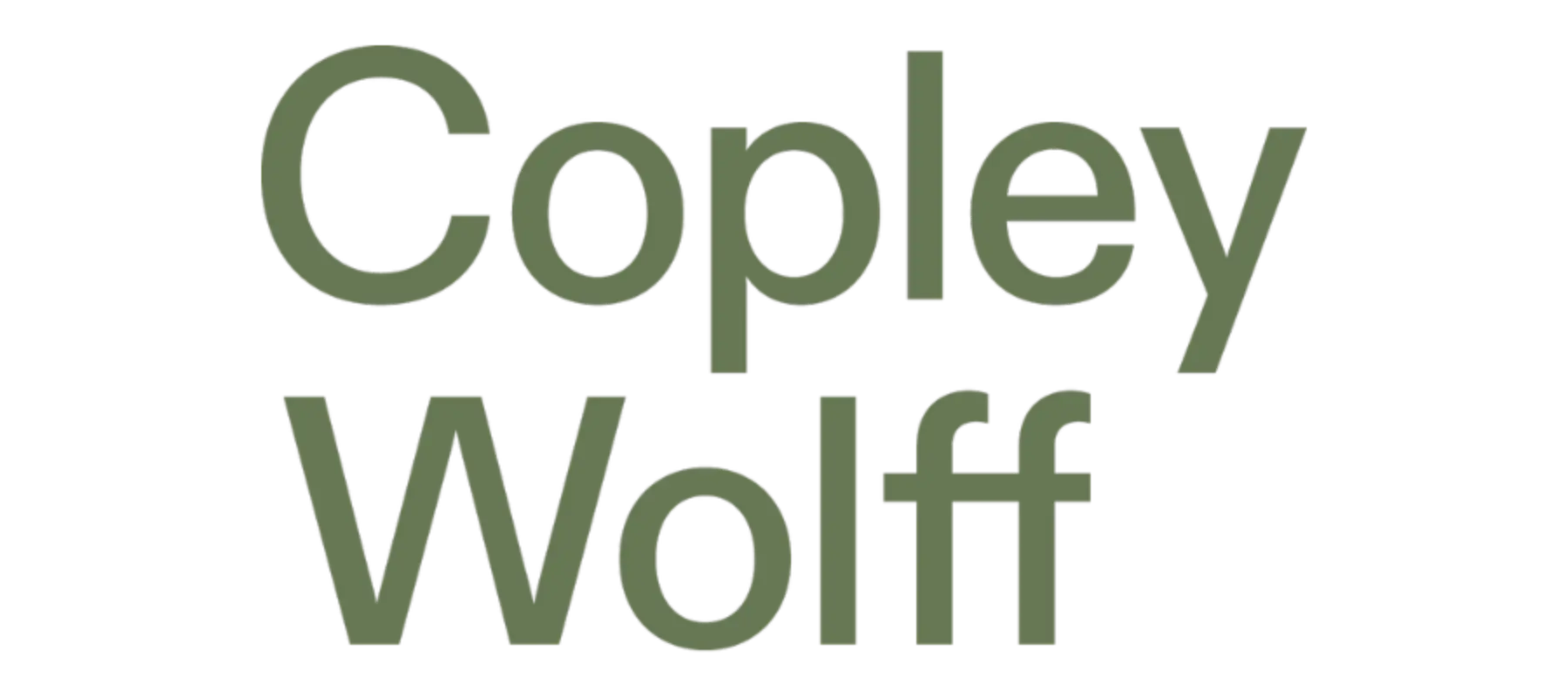4 Patron Copley Wolff 900x400